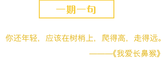 你还年轻，应该在树梢上，爬的高，走得远。--《我爱长鼻猴》